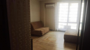Apartment on Volzhskaya 34